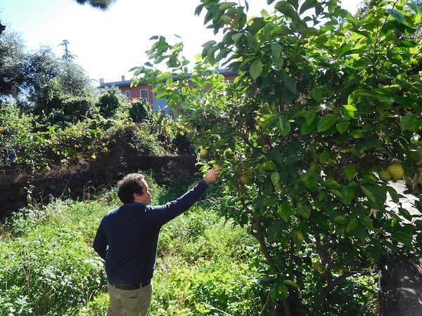 Il Giardino di Scidà